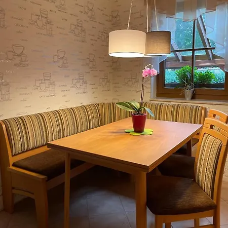 Zum Geigenmueller Appartement Stutzengrun